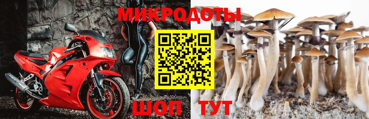 Галлюциногенные грибы GOLDEN TEACHER  Вход с VPN  Кемерово 